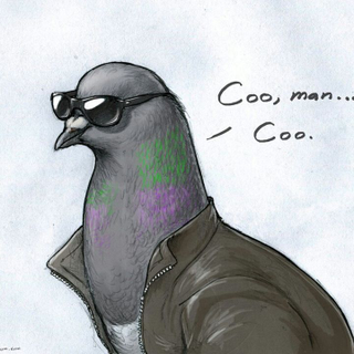 Illustration for article titled Moar pics